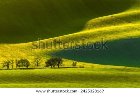 Moravian fields bathed in the glow of the setting sun.