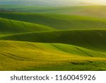 Moravian fields in spring