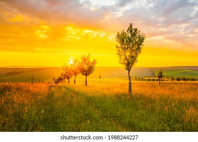 2,754 Moravian tuscany Images, Stock Photos & Vectors | Shutterstock