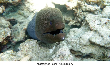 こうこつぎょこう の画像 写真素材 ベクター画像 Shutterstock