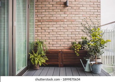 Morden Residential Balcony Garden With Bricks Wall, Wooden Bench And Plants.