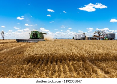 Moree, Australia - November 10, 2015: A Combine Harvester Harvests Wheat On A Large Grain Farm In Moree. This Is A Major Agricultural Area In New South Wales, Australia.