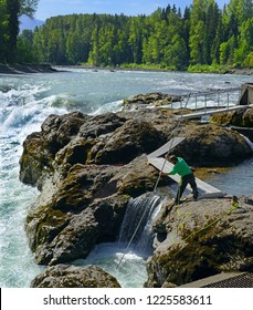 MORICETOWN, BC, CANADA – AUGUST 18, 2018: Wet'suwet'en Fishing Site On Bulkley River At Moricetown Canyon. Instead Of Traditional Fishing With A Hook Or Landing Net For The Wet'suwet'en First Nation