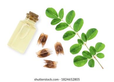 Moringa Leaf With Dry Seeds And Bottle Of Essential Moringa Seed Oil Isolated On White Background. Top View. Flat Lay.