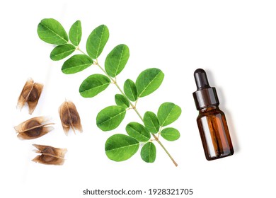 Moringa Leaf With Dry Seeds And Bottle Of Essential Moringa Seed Oil Isolated On White Background. Top View. Flat Lay.