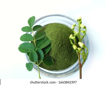 Moringa leaves and flowers (Moringa oleifera) Moringa powder capsules Isolated on a white background Moringa powder for making tea