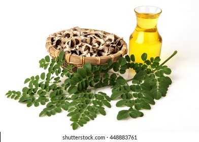 Moringa Oil And Seeds.