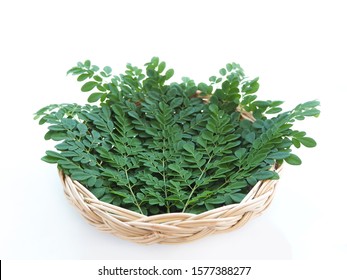 Moringa Oleifera Or Drumstick Leaves In Basket On White Background Use As Ingredient In Hair Dandruff Shampoo Product To Soothe Itchy, Flaky And Irritated Scalp And Dry And Is A Medicine Herb