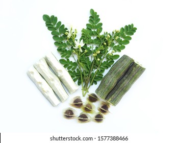 Moringa Oleifera Or Drumstick Leaves With Seed On White Background Use As Ingredient In Hair Dandruff Shampoo Product To Soothe Itchy, Flaky And Irritated Scalp And Dry And Is A Medicine Herb