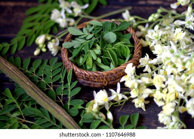 Moringa Oleifera Flower