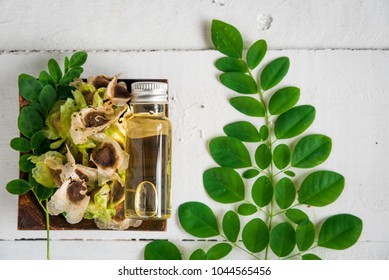 Moringa Seed Oil,  Moringa Fresh Leaves, Moringa Oleifera Lam 