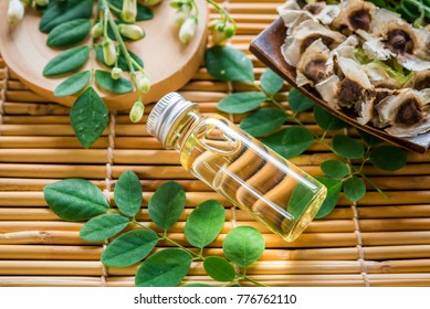 Moringa Seed Oil,  Moringa Fresh Leaves, Moringa Oleifera Lam 