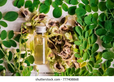 Moringa Seed Oil,  Moringa Fresh Leaves, Moringa Oleifera Lam 