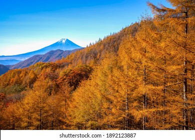 261 Mount fuji green pine trees Images, Stock Photos & Vectors ...