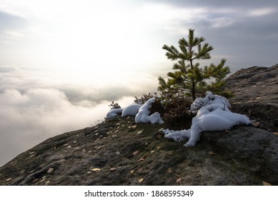 Morning Atmosphere In Saxon Switzerland