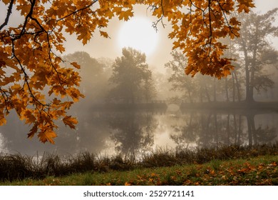 Morning autumn fog in Alexander park in Tsarskoe Selo (Pushkin), St. Petersburg, Russia - Powered by Shutterstock