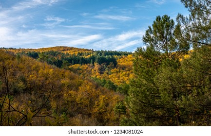 Morning Autumn Landscape In Cévennes National Park, France.