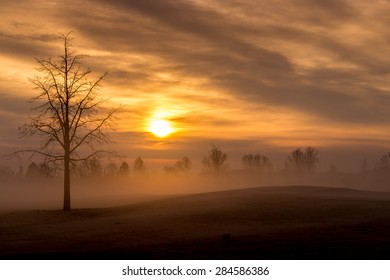 Morning In Bavaria, Germany, With Lifting Fog.