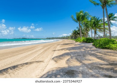 Morning beach shot at Bahia beach resort in Rio Grande, Puerto Rico 