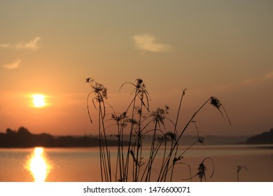 Morning Beauty Of Sabarmati River