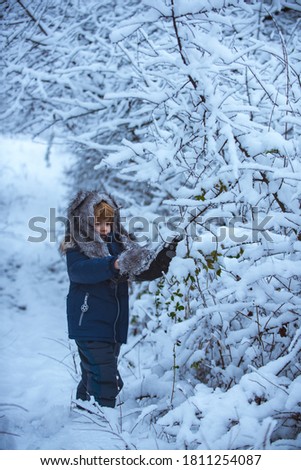 Similar – Foto Bild Ein Mann in winterbekleidung spielt Elefant und formt seine Arme zu einem Rüssel. Winter. Humor