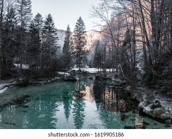 Morning In The Bohinj Lake Valley