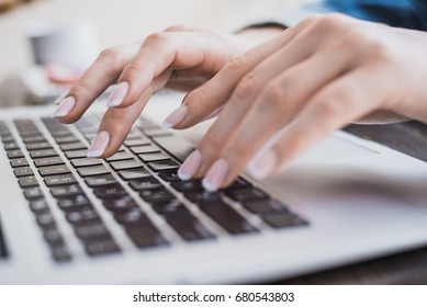 Morning business woman. Female hands working on a laptop, close-up