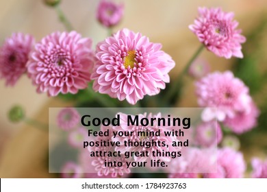 Morning Card And Greeting Concept With Inspirational Quote - Good Morning. Feed Your Mind With Positive Thoughts And Attract Great Things Into Your Life. On Background Of Pink Flowers Bouquet.