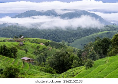 Morning cloud fog or mist over the agriculture field. Misty in Terraced rice field, Pa Bong Piang Rice Terraces in Chiang Mai, Thailand. White mist in the rice fields - Powered by Shutterstock