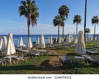 Morning in Cyprus in Protaras. Stacked sun loungers, round tables and closed sun umbrellas standing on the grass on the seashore, around a palm tree against a blue sky