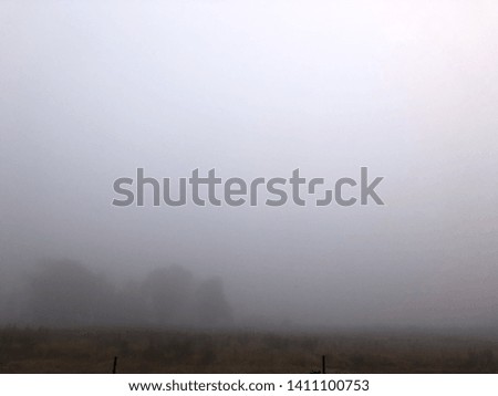 Similar – Image, Stock Photo Misty November Environment