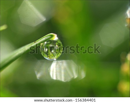 Similar – Foto Bild Wenn die Erde weint Gras