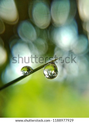 Similar – after the rain… Natur