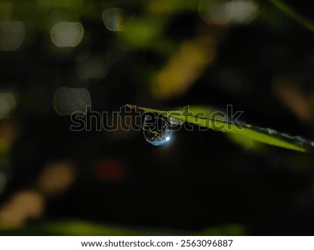 Similar – Image, Stock Photo Raindrops and sun rays on the garden chair