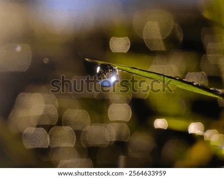 Similar – Image, Stock Photo Raindrops and sun rays on the garden chair