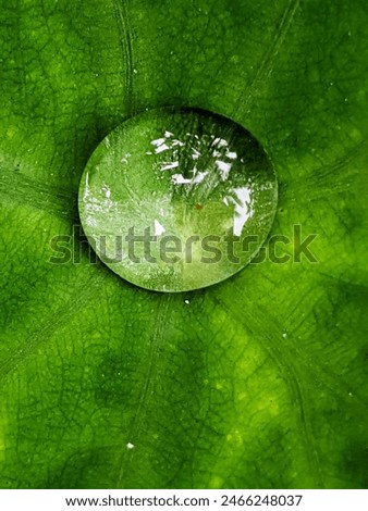 Image, Stock Photo moss fingers Fingers Hand