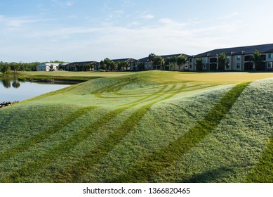 Morning Dew And Grass Stripes On The Golf Course. South Florida Golf Community