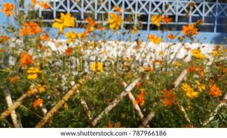 Similar – Foto Bild sommer vorm balkon Natur