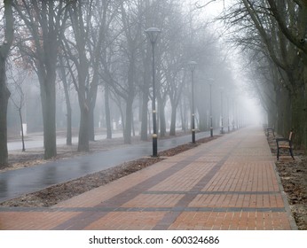 Morning Fog In The City Alley 