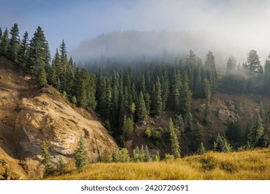 Morning fog in Colorado's San Juan Mountains. - Powered by Shutterstock