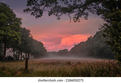 Morning fog in the field at dawn. Foggy early morning at dawn - Shutterstock ID 2186050275