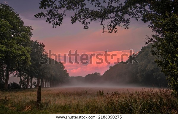 Morning fog in the field\
at dawn. Foggy early morning at dawn. Early morning fog at dawn.\
Fog at dawn