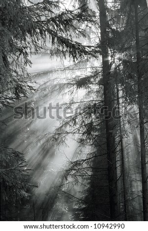 Similar – Image, Stock Photo atmospheric picture