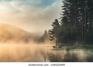 Morning fog on the lake, sunrise shot. - Powered by Shutterstock