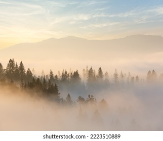 Morning fog on the slopes of the Carpathian Mountains (Ivano-Frankivsk oblast, Ukraine). View on Chornohora. - Powered by Shutterstock