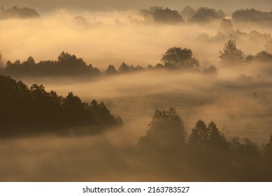 Morning Fog Over The River Floodplain