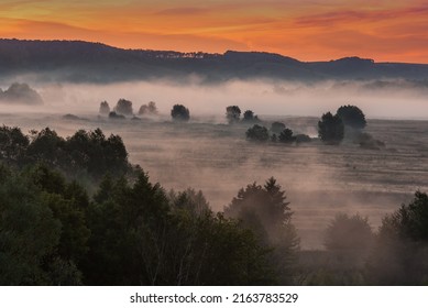 Morning Fog Over The River Floodplain