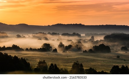 Morning Fog Over The River Floodplain