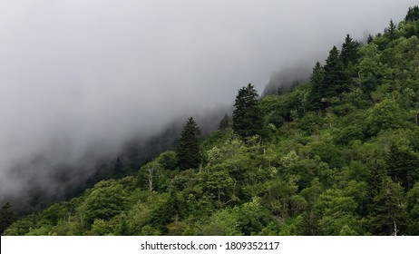 Morning Fog Shrouding The Trees In The Appalachian Mountains Viewed Along The Blue Ridge Parkway