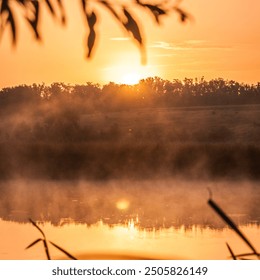 morning foggy calm lake with reeds, near a forest with trees and bushes behind which the bright morning sun is visible - Powered by Shutterstock